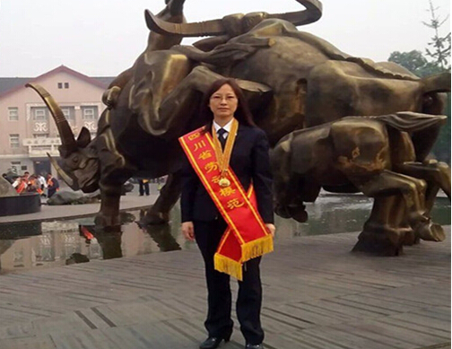 ����������ƽӹ��