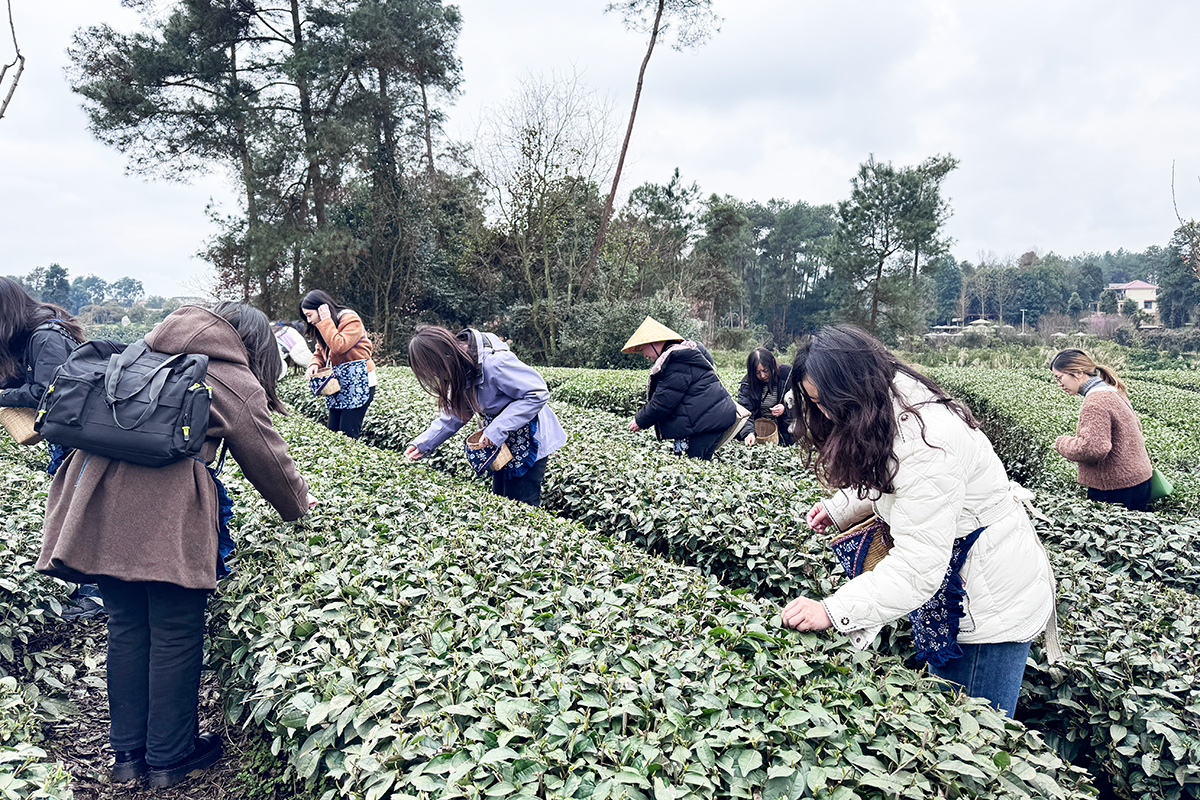 20250308-01-����2